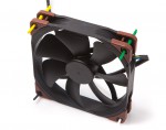 Noctua Chromax