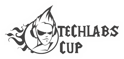 TECHLABS CUP UA 2011