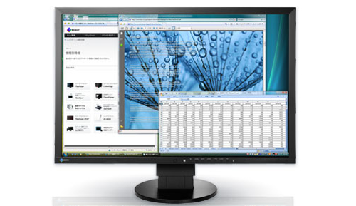 Eizo FlexScan EV2416W-TS