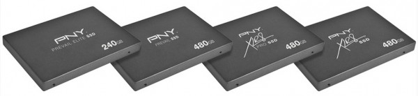 PNY SSD