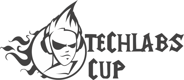 TECHLABS CUP UA 2011