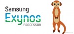 Exynos 7420, Samsung