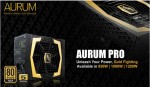 FSP Aurum Pro